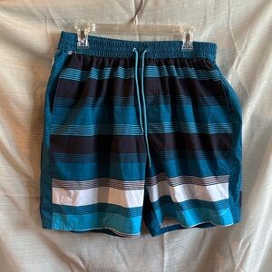 Nike Men's Teal and Black Striped Swim Trunks